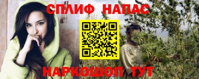 spice Новодвинск