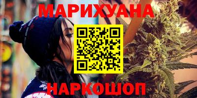spice Новодвинск