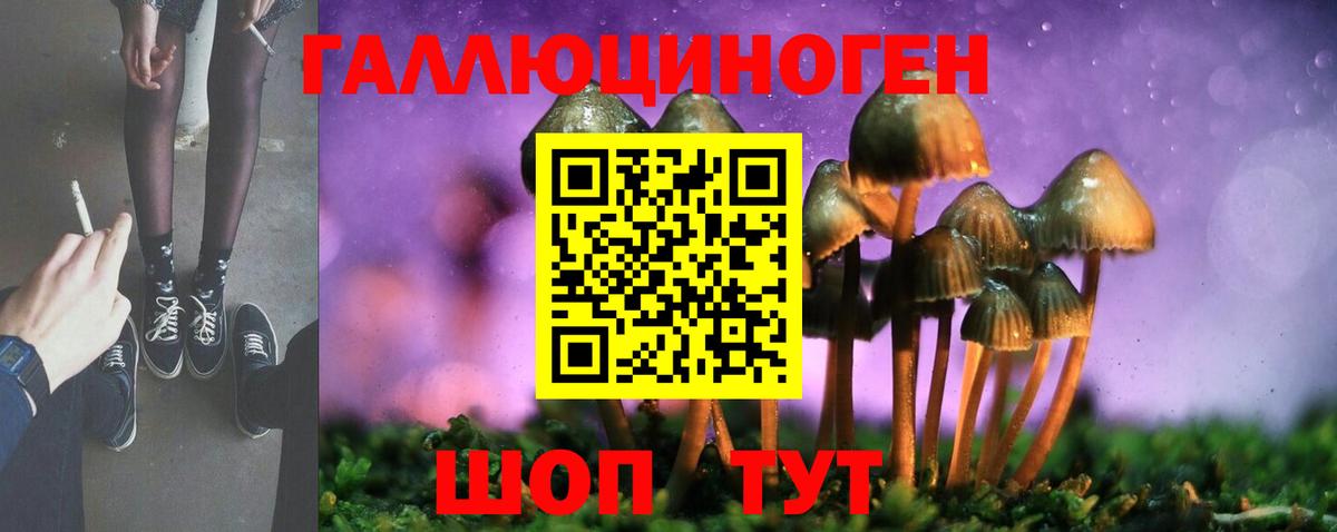 Галлюциногенные грибы мицелий Ростов-на-Дону